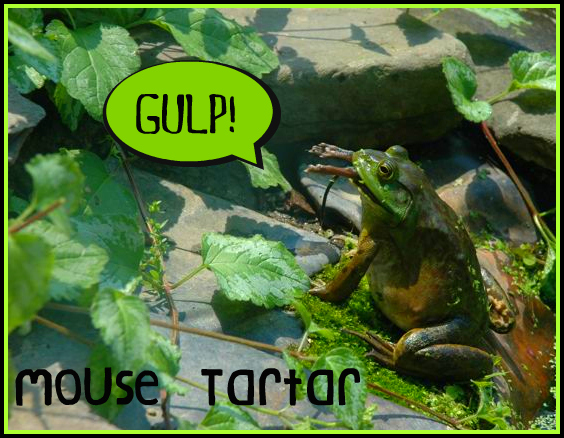 frogeatsmouse1