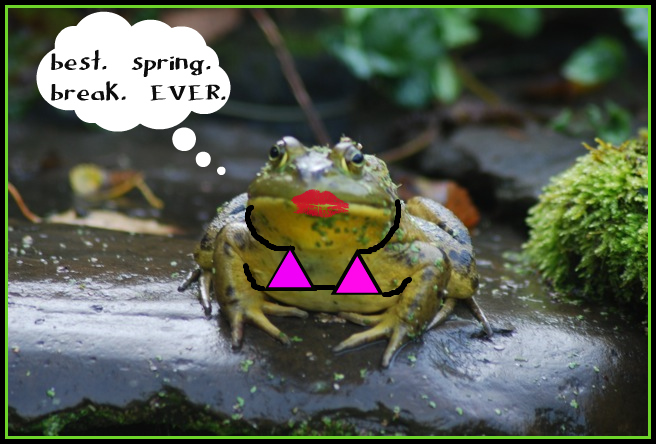 springbreak