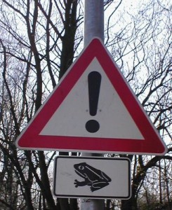 frog_crossing